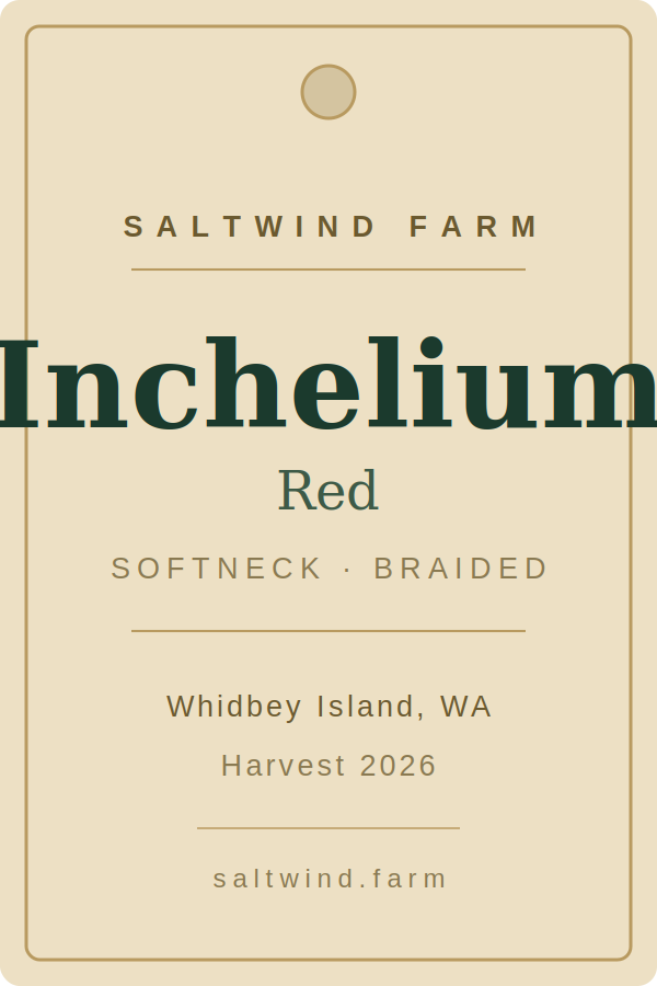 Inchelium Red Softneck Garlic Braid