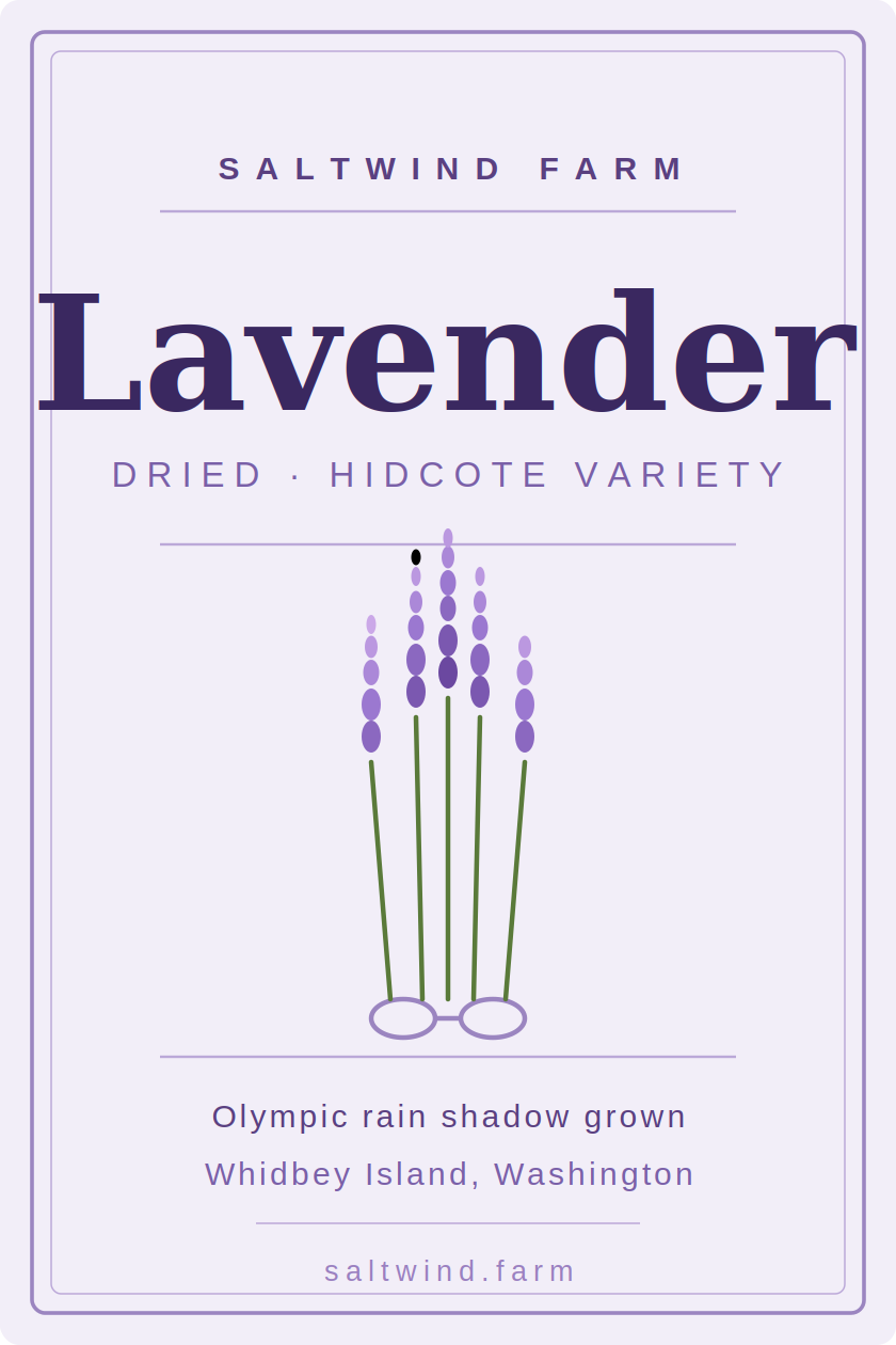 Dried Lavender — Hidcote Variety